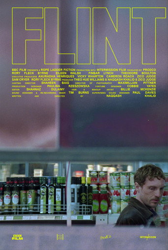 FLINT movie poster