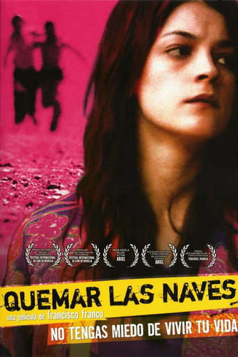 Burn the Bridges movie poster