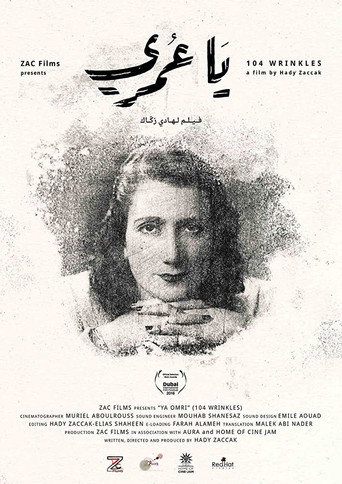 104 Wrinkles movie poster
