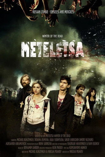 Winter of the Dead. Meteletsa movie poster