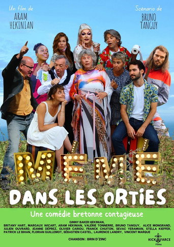 Granny in the Nettles movie poster