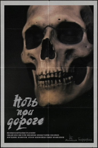 Night on the Road movie poster