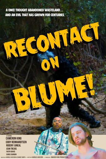 Recontact on Blume movie poster