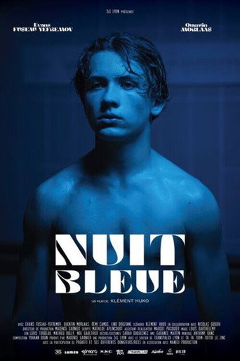 Nuit bleue movie poster