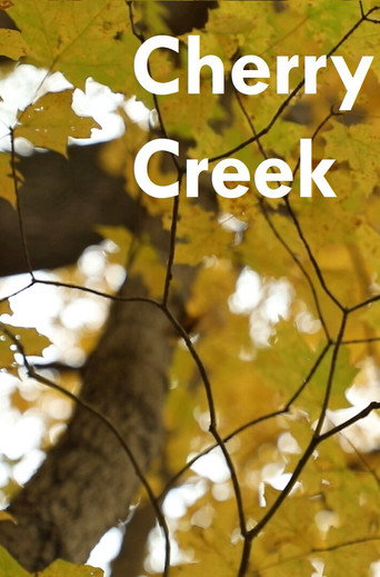 Cherry Creek movie poster