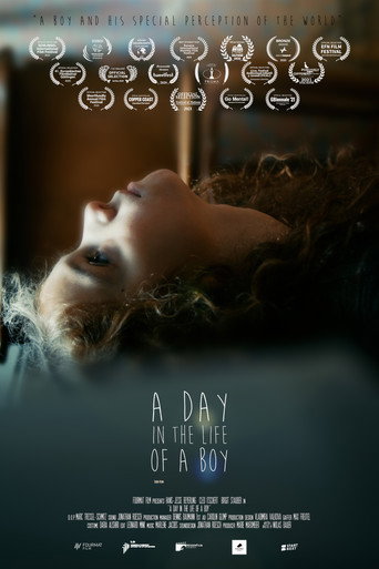 A Day in the Life of a Boy movie poster
