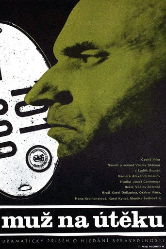 A Man on the Run movie poster