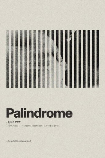 Palindrome movie poster
