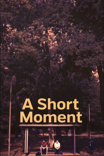 A Short Moment movie poster