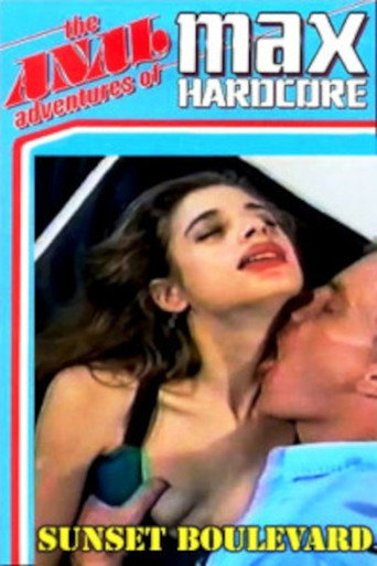 The Anal Adventures of Max Hardcore 2 movie poster