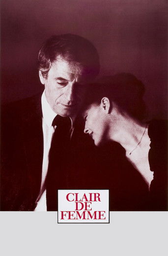 Womanlight movie poster