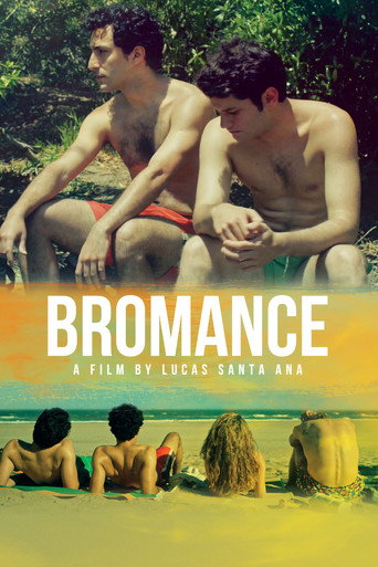 Bromance movie poster