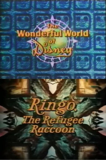 Ringo, the Refugee Raccoon movie poster