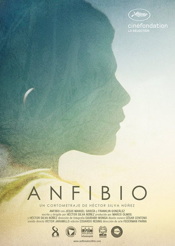 Anfibio movie poster