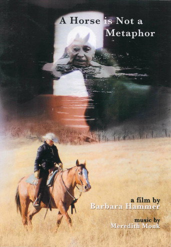A Horse Is Not a Metaphor movie poster