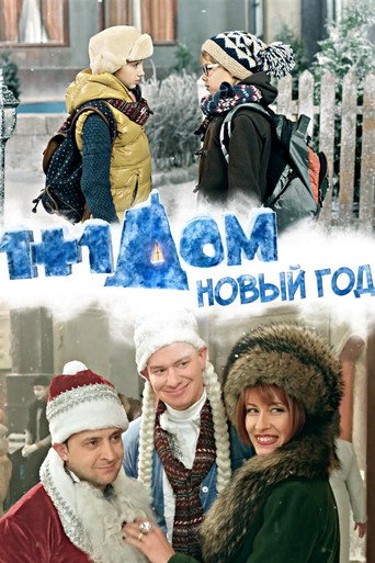 1+1 at Home. New Year movie poster