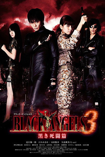 ブラック・エンジェルズ3 黒き死闘篇 movie poster