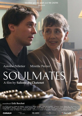 Soulmates movie poster