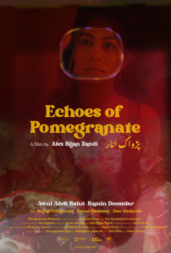 Echoes of Pomegranate movie poster