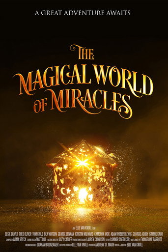 The Magical World Of Miracles movie poster