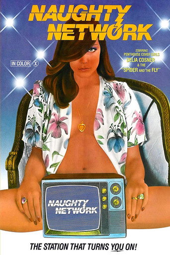Naughty Network movie poster