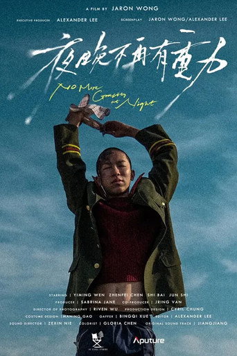 No More Gravity At Night movie poster