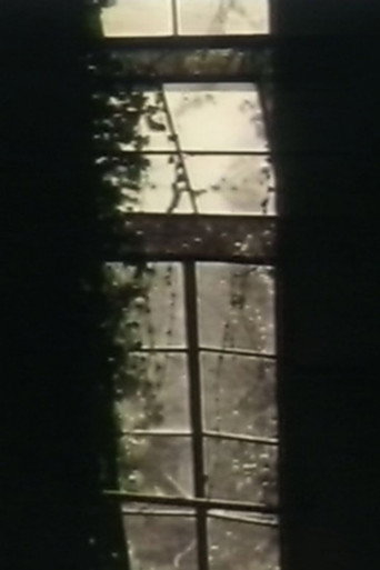 See Through The Shadow Of Darkness movie poster