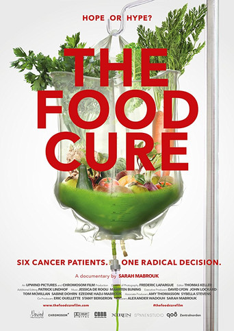 The Food Cure: Hope or Hype? movie poster