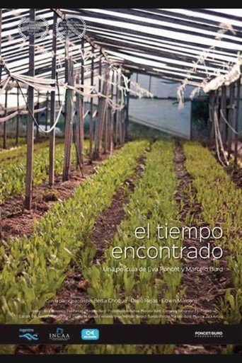 El tiempo encontrado movie poster