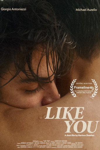 Like You movie poster