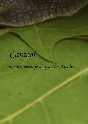 Caracol movie poster