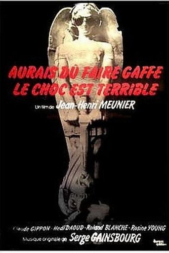 Aurais dû faire gaffe... le choc est terrible movie poster
