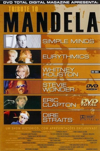 The Nelson Mandela 70th Birthday Concert movie poster