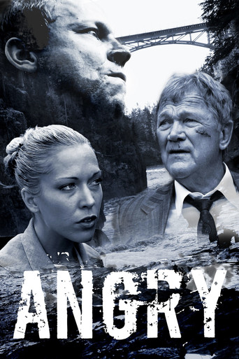 Angry movie poster