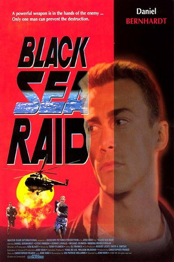Black Sea Raid movie poster