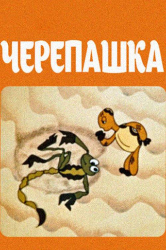 Turtle movie poster