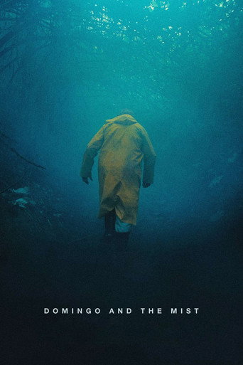 Domingo and the Mist movie poster