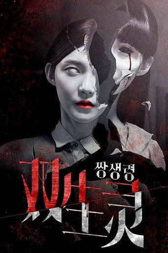 Twin Spirit movie poster
