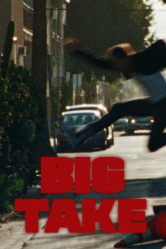 Big Take movie poster