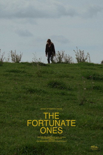 The Fortunate Ones movie poster