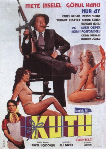 Bu Kutu Başka Kutu movie poster