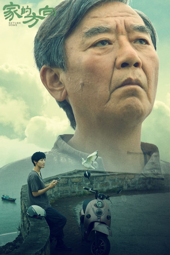 家的方向 movie poster