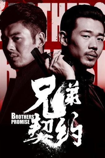 兄弟契约 movie poster