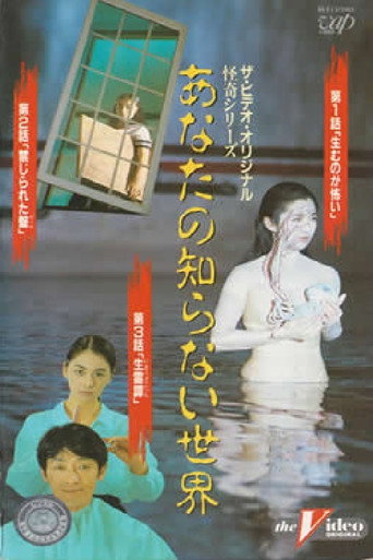 The World You Don't Know II movie poster