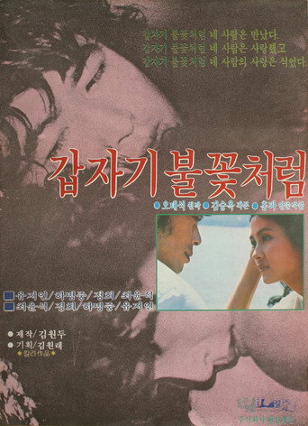 Sudden Flame movie poster