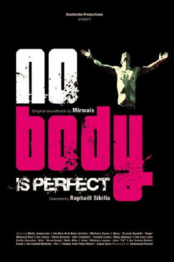No Body Is Perfect movie poster