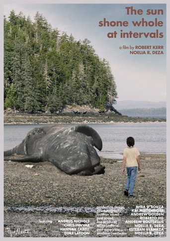 The Sun Shone Whole at Intervals movie poster