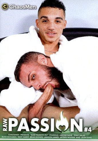 Raw Passion 4 movie poster
