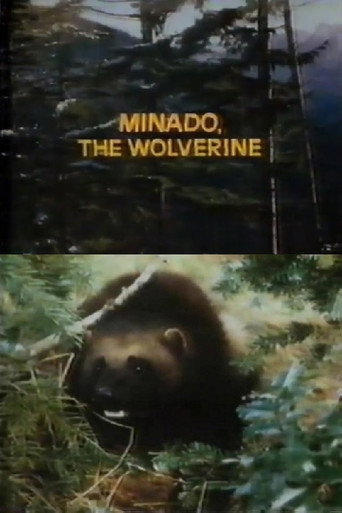 Minado, the Wolverine movie poster
