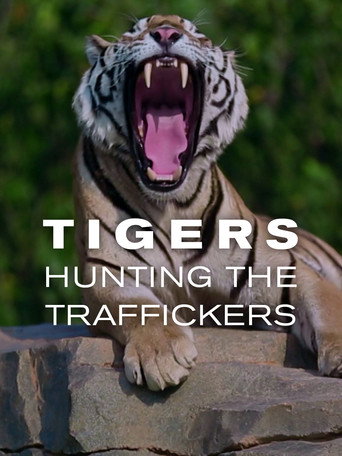 Tigers: Hunting the Traffickers movie poster